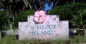 Palm & Hibiscus Island 5