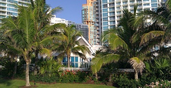 Continuum Miami 5