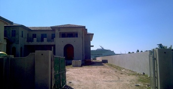 Palm & Hibiscus Island 10