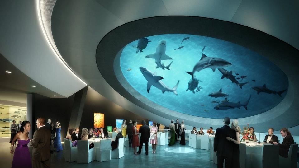 Frost Museum of Science now aiming for spring 2017 opening